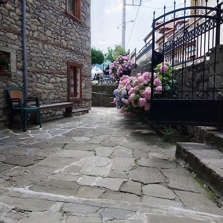 Arka Metsovo 호텔 외부 사진