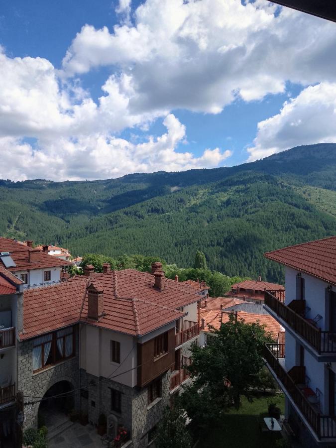 Arka Metsovo 호텔 외부 사진