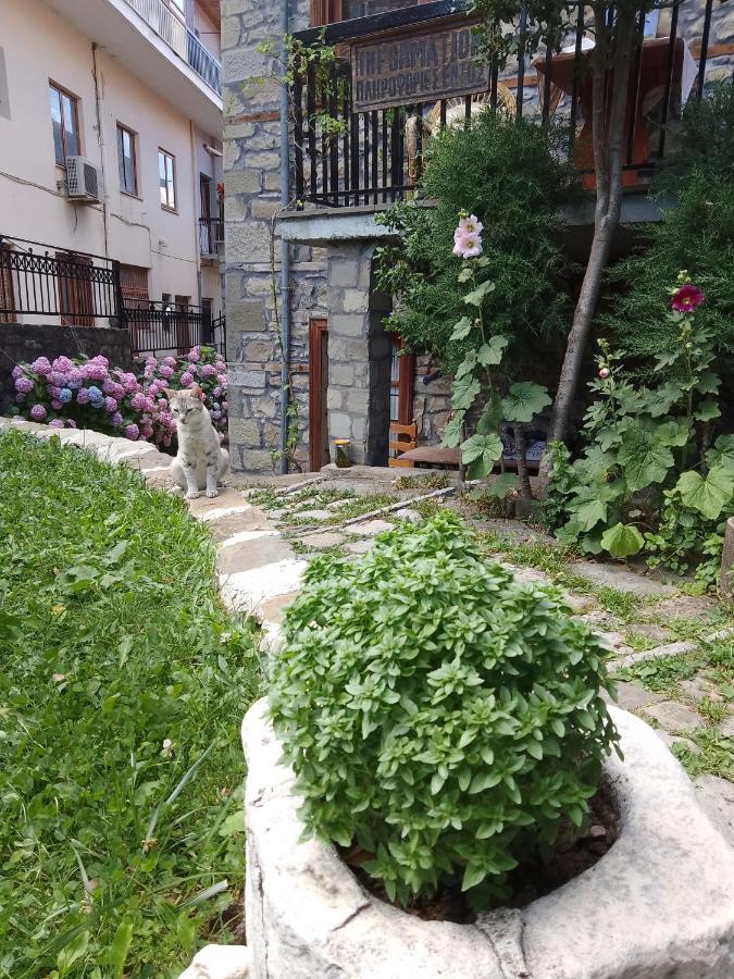 Arka Metsovo 호텔 외부 사진
