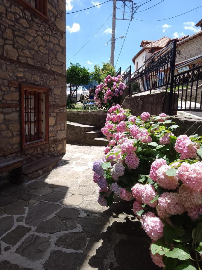 Arka Metsovo 호텔 외부 사진