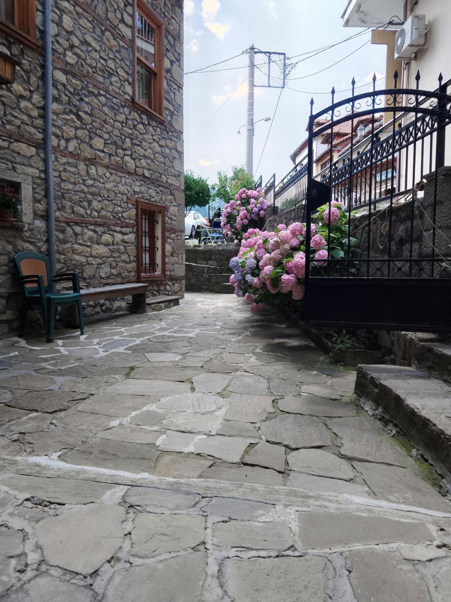 Arka Metsovo 호텔 외부 사진